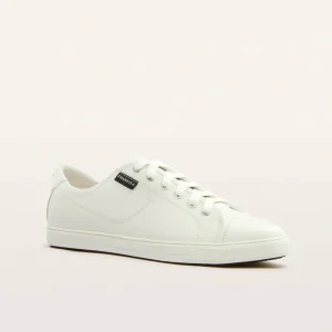 FRANKIE4 Nat III White
